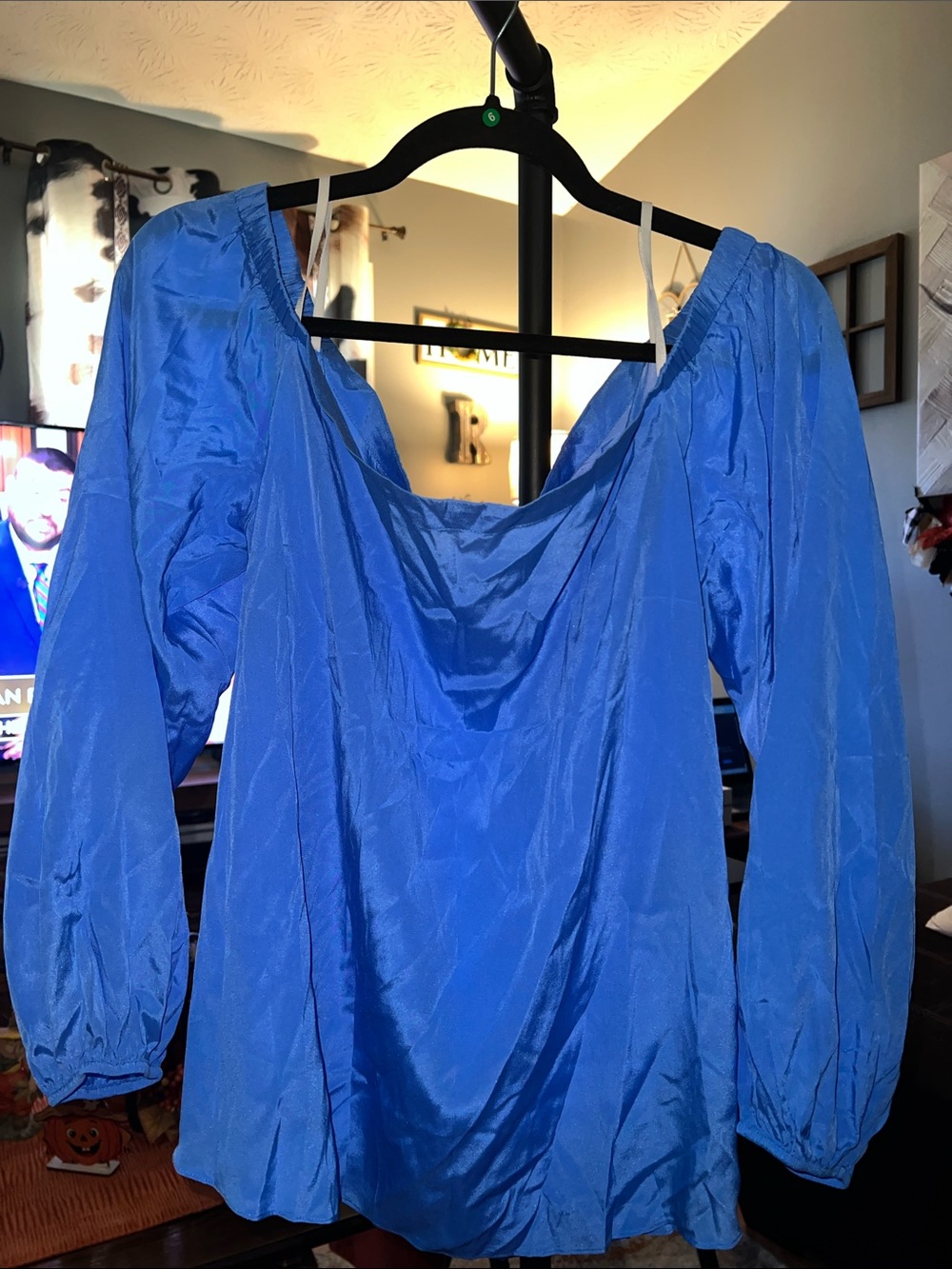 Lilly Pulitzer Royal Blue Long-Sleeve Peasant Blouse